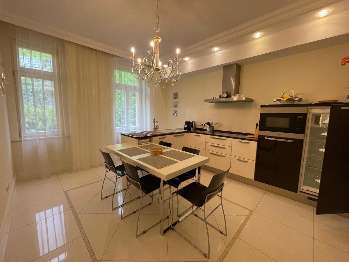 קרלובי וארי Apartma Premium מראה חיצוני תמונה